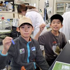 分子を光らせてみよう、高島小学校の生徒さん
