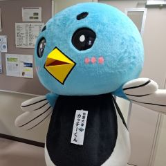 カッチーくん